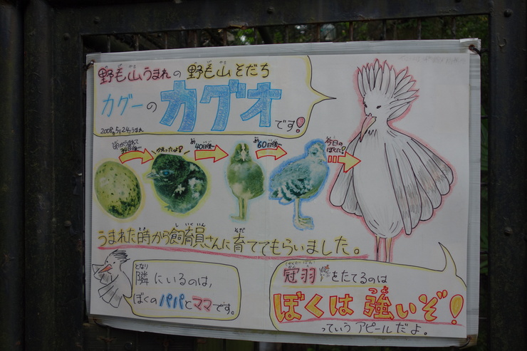 横浜市立野毛山動物園散策~FPD International 2013 その8_a0287336_22164965.jpg