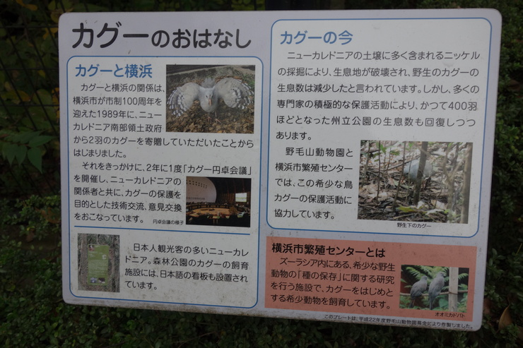 横浜市立野毛山動物園散策~FPD International 2013 その8_a0287336_22173654.jpg