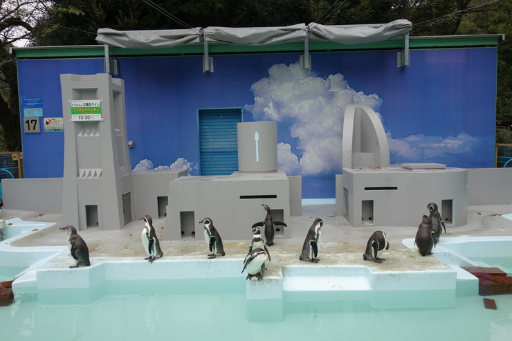 横浜市立野毛山動物園散策~FPD International 2013 その8_a0287336_2218422.jpg