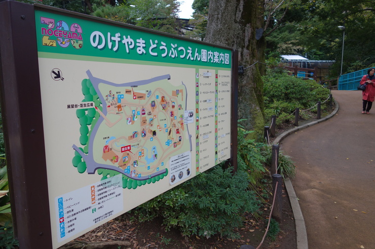 横浜市立野毛山動物園散策~FPD International 2013 その8_a0287336_22214724.jpg