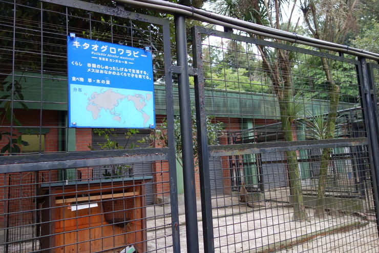 横浜市立野毛山動物園散策~FPD International 2013 その8_a0287336_22222886.jpg