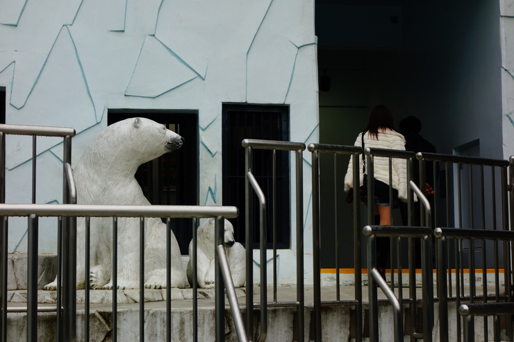 横浜市立野毛山動物園散策~FPD International 2013 その8_a0287336_22233869.jpg