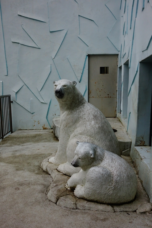 横浜市立野毛山動物園散策~FPD International 2013 その8_a0287336_2224123.jpg