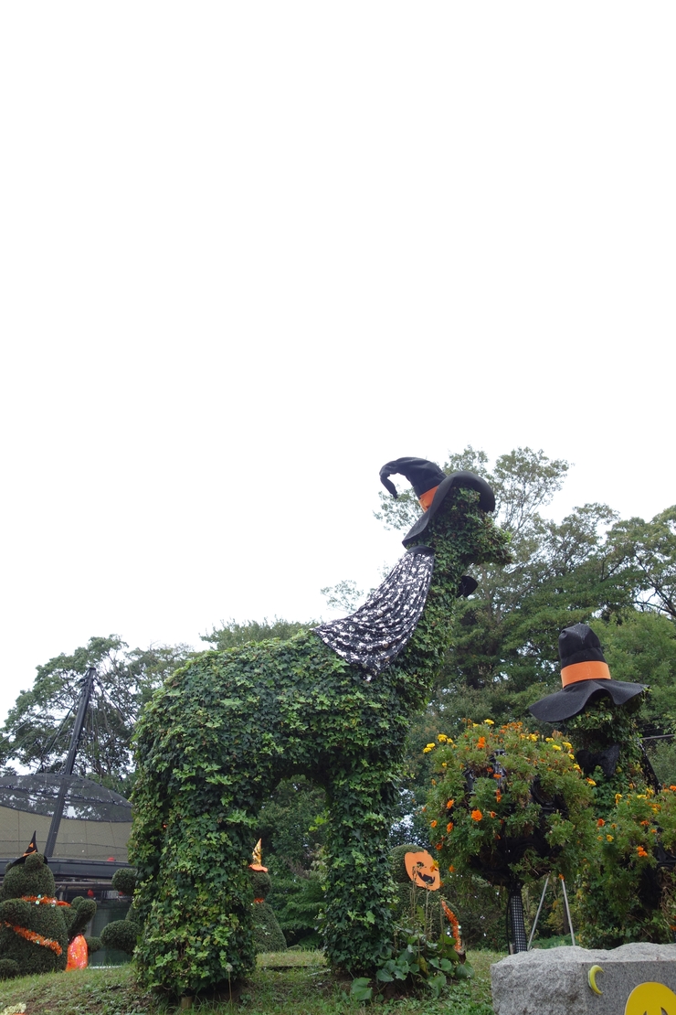 横浜市立野毛山動物園散策~FPD International 2013 その8_a0287336_22244652.jpg