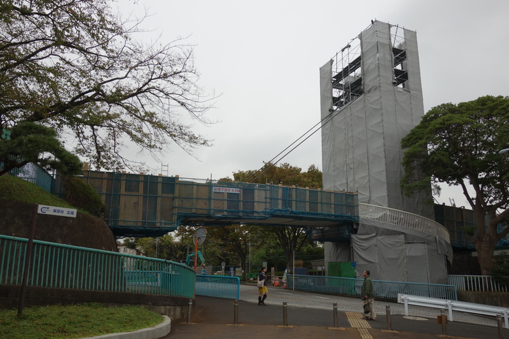 横浜市立野毛山動物園散策~FPD International 2013 その8_a0287336_22251471.jpg