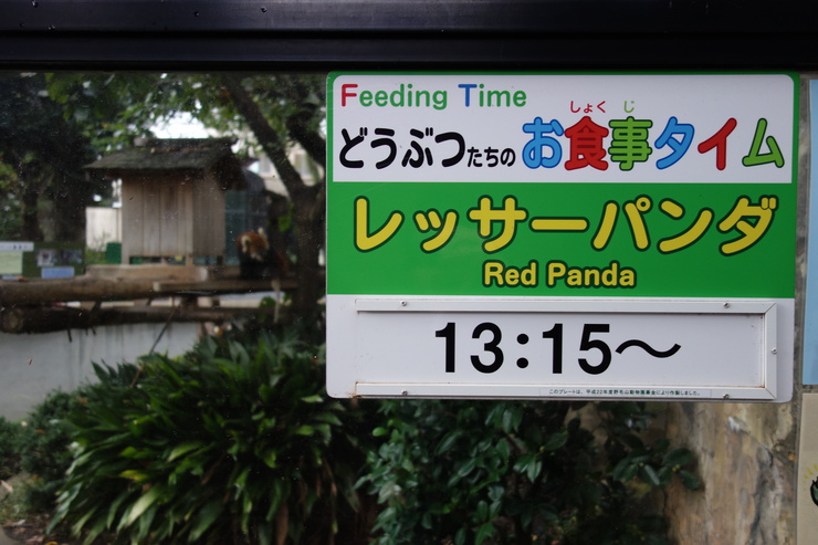 横浜市立野毛山動物園散策~FPD International 2013 その8_a0287336_2231661.jpg