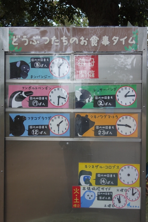 横浜市立野毛山動物園散策~FPD International 2013 その8_a0287336_224364.jpg