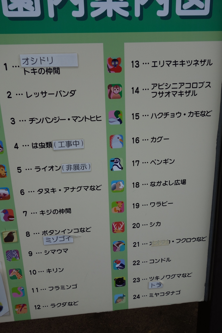 横浜市立野毛山動物園散策~FPD International 2013 その8_a0287336_2249489.jpg