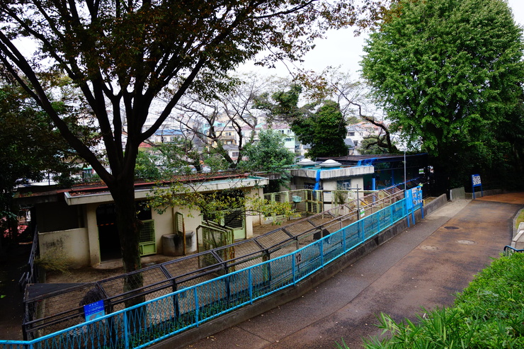 横浜市立野毛山動物園散策~FPD International 2013 その8_a0287336_2262084.jpg