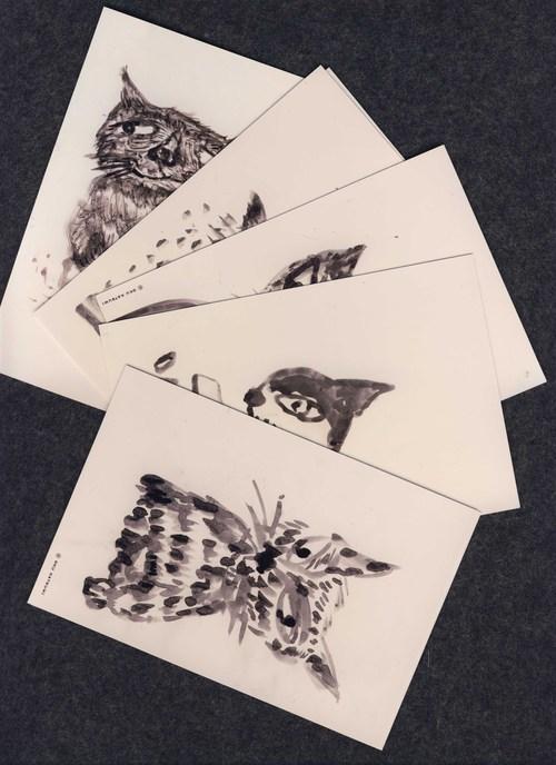 宮沢賢治本のカバー(銅版画))イーハートーブの森11/22~~1//13日まで_e0256436_5552145.jpg