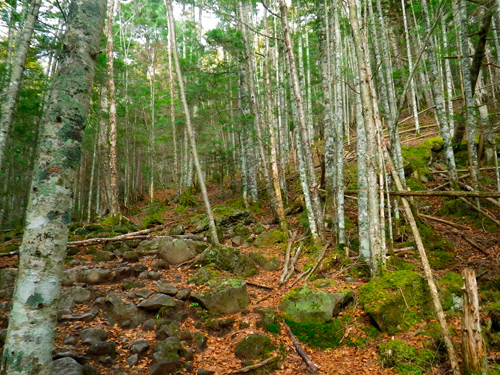 f0209740_10515260.jpg