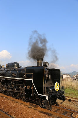 a0182241_2311571.jpg
