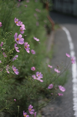 a0182241_23233254.jpg