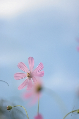 a0182241_23242076.jpg