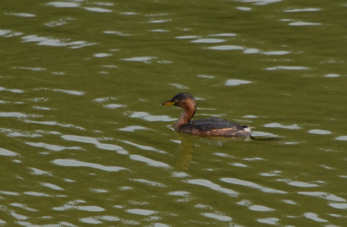 b0288942_8101114.jpg