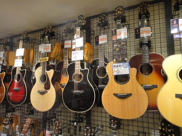 遂にフォルヒを注文！・・・しかし・・・ : Kamakura Guitar