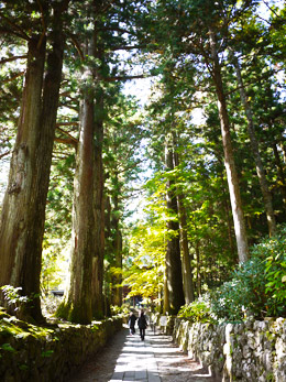 深まりゆく信州の秋　駒ヶ根・光前寺_b0202345_21591649.jpg