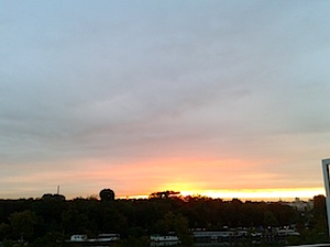 b0117348_756829.jpg