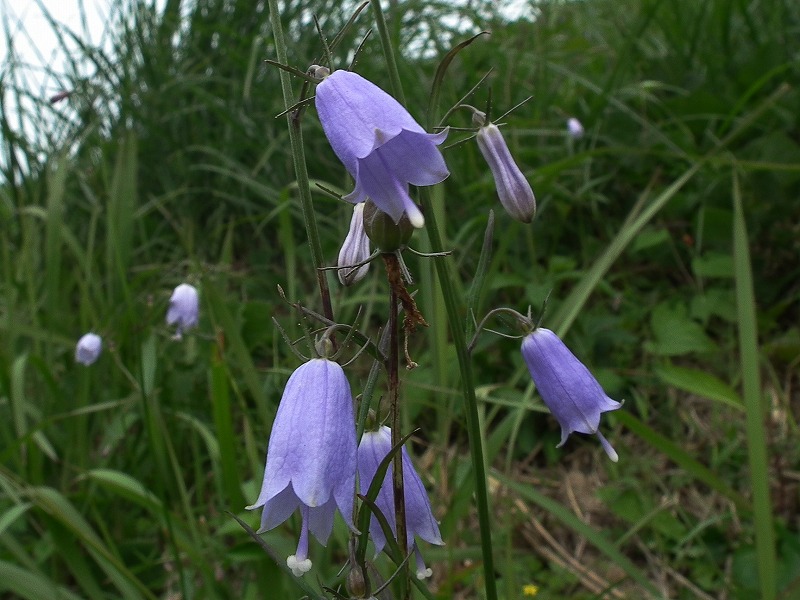 a0018655_2112550.jpg