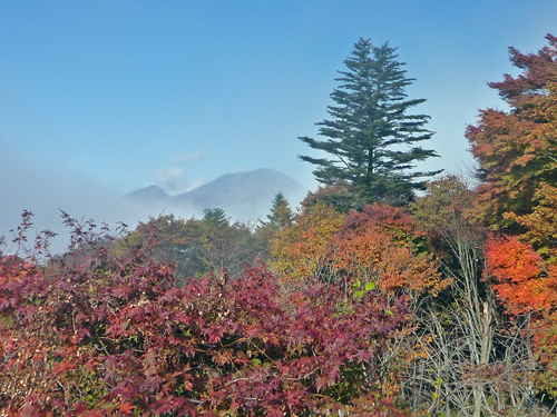 b0045357_445545.jpg