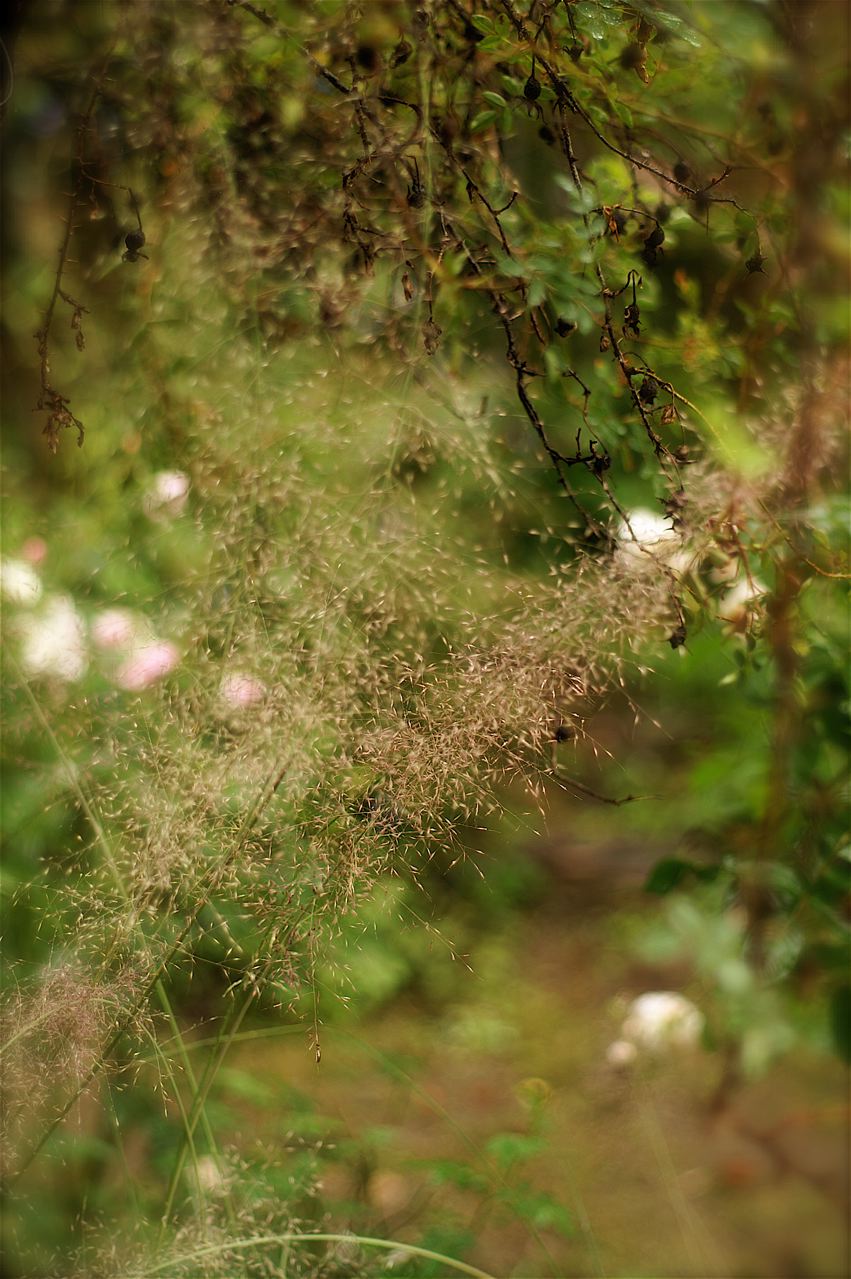b0168859_20123098.jpg