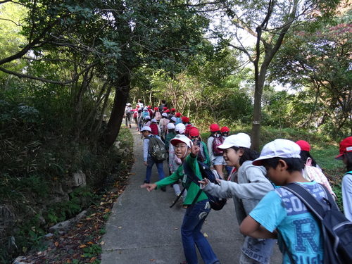 岸和田市立東光小学校遠足サポート　　　in　　せんなん里海公園うみべの森_c0108460_19315645.jpg