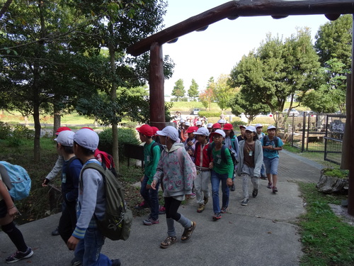 岸和田市立東光小学校遠足サポート　　　in　　せんなん里海公園うみべの森_c0108460_19404069.jpg