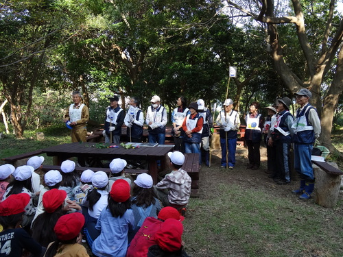 岸和田市立東光小学校遠足サポート　　　in　　せんなん里海公園うみべの森_c0108460_19431080.jpg