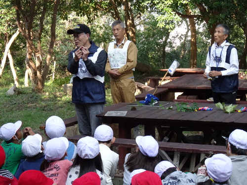 岸和田市立東光小学校遠足サポート　　　in　　せんなん里海公園うみべの森_c0108460_19435334.jpg