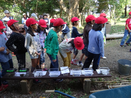 岸和田市立東光小学校遠足サポート　　　in　　せんなん里海公園うみべの森_c0108460_19465318.jpg