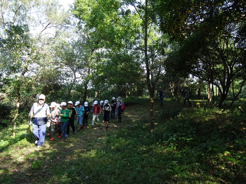 岸和田市立東光小学校遠足サポート　　　in　　せんなん里海公園うみべの森_c0108460_1948557.jpg