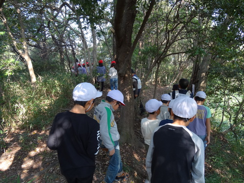 岸和田市立東光小学校遠足サポート　　　in　　せんなん里海公園うみべの森_c0108460_19522062.jpg