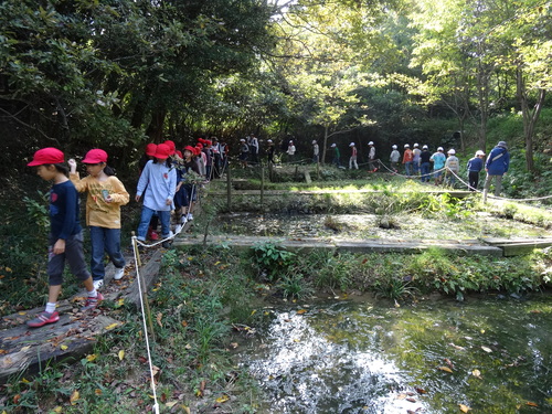 岸和田市立東光小学校遠足サポート　　　in　　せんなん里海公園うみべの森_c0108460_19541343.jpg