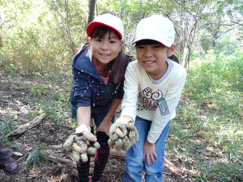 岸和田市立東光小学校遠足サポート　　　in　　せんなん里海公園うみべの森_c0108460_1956123.jpg