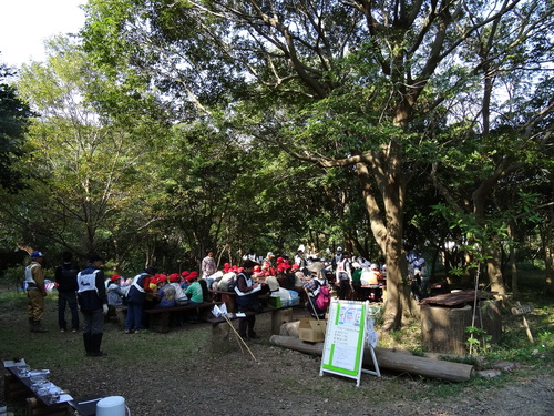 岸和田市立東光小学校遠足サポート　　　in　　せんなん里海公園うみべの森_c0108460_19583753.jpg