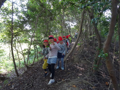 岸和田市立東光小学校遠足サポート　　　in　　せんなん里海公園うみべの森_c0108460_20415542.jpg