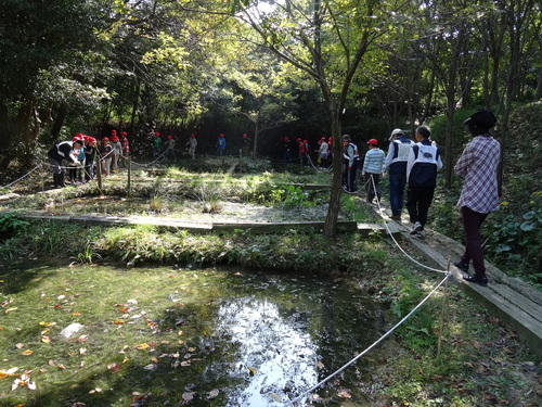 岸和田市立東光小学校遠足サポート　　　in　　せんなん里海公園うみべの森_c0108460_20423323.jpg