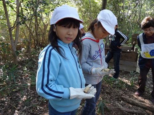 岸和田市立東光小学校遠足サポート　　　in　　せんなん里海公園うみべの森_c0108460_20442228.jpg