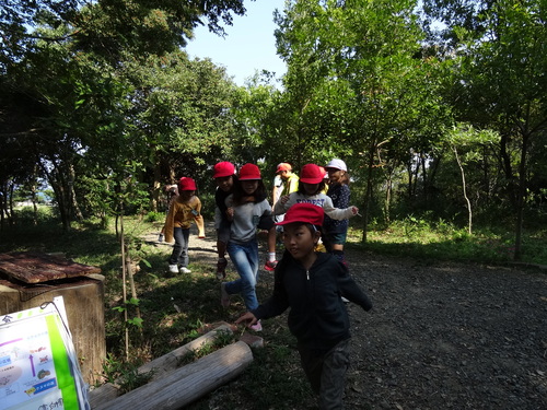 岸和田市立東光小学校遠足サポート　　　in　　せんなん里海公園うみべの森_c0108460_2055683.jpg