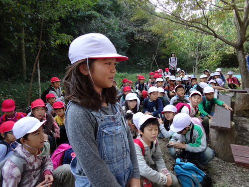 岸和田市立東光小学校遠足サポート　　　in　　せんなん里海公園うみべの森_c0108460_2063184.jpg