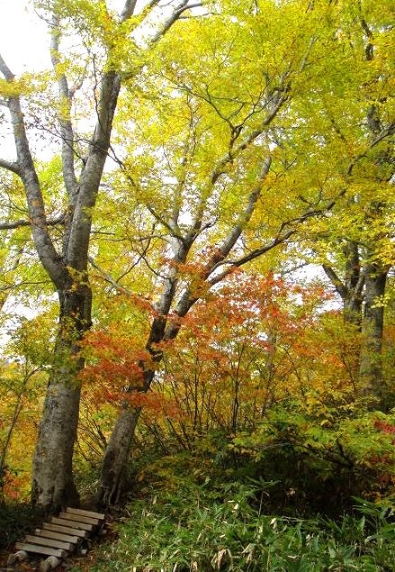 ＜2013年10月18-20日＞「火打山」雪景色登山＆糸魚川フォッサマグナ探訪（前編）_c0119160_6484736.jpg