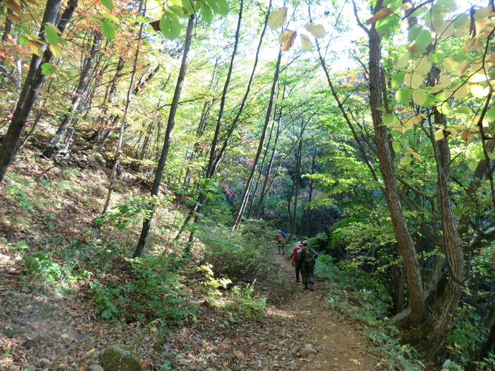 No317　長野　百名山の四阿山（あずまやさん）から　花の百名山　根子岳縦走_b0185573_16293796.jpg