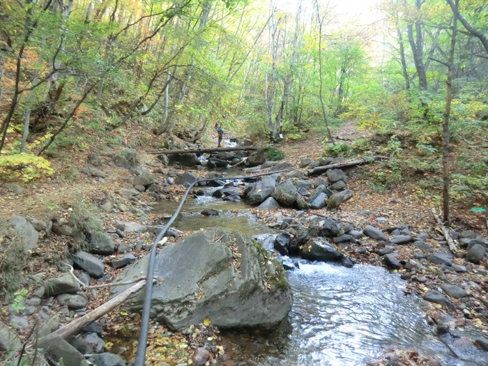 b0185573_16303872.jpg