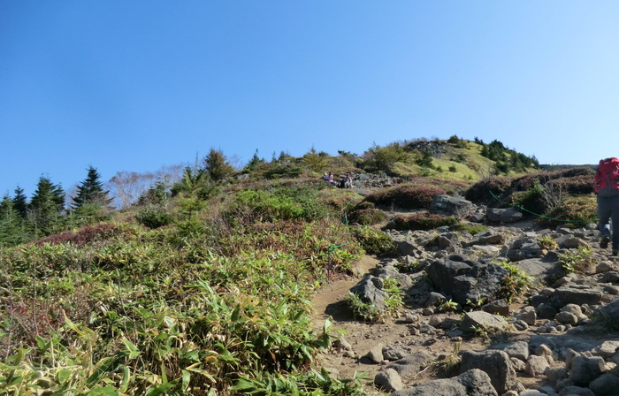 b0185573_17102625.jpg