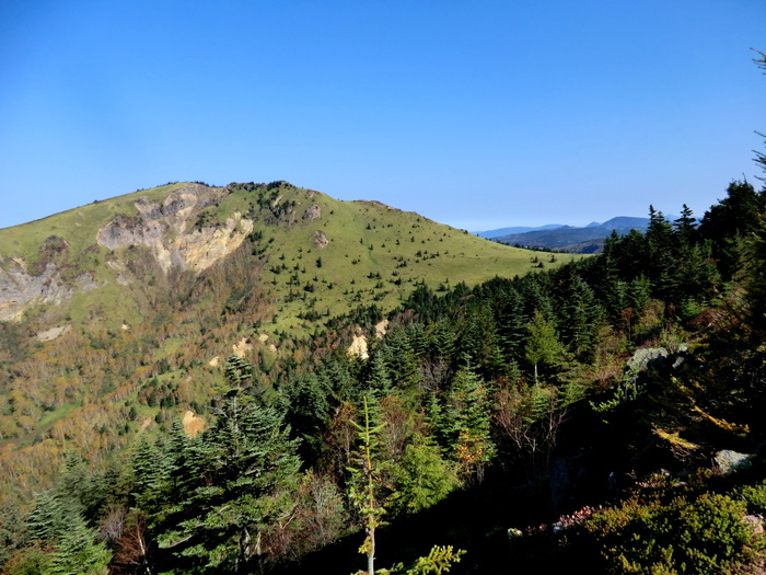 b0185573_1717276.jpg