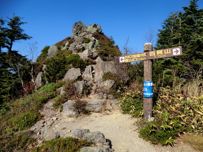 b0185573_2015243.jpg