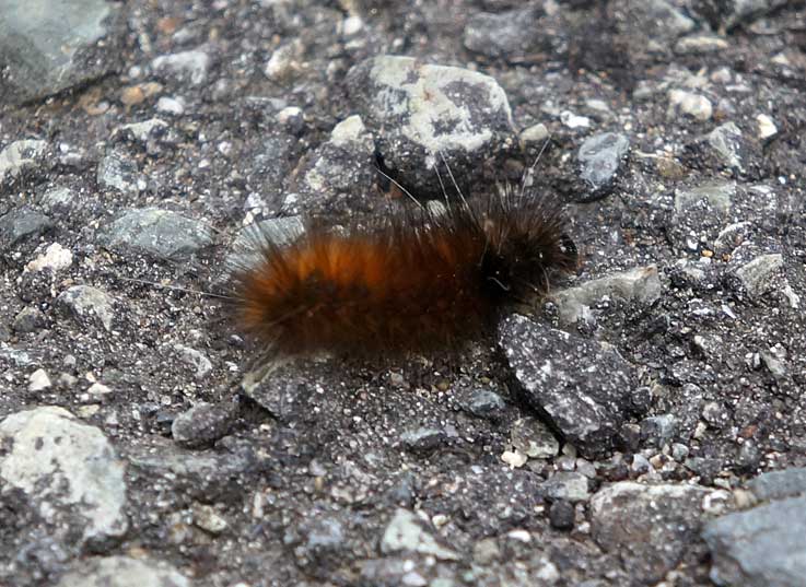 b0057679_8462447.jpg
