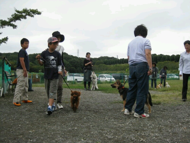 f0230380_2340216.jpg