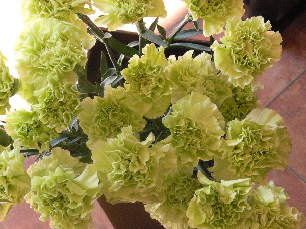 e0140986_1446513.jpg