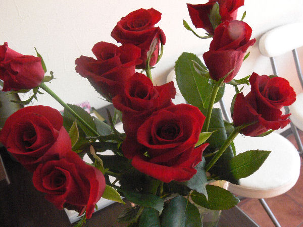 e0140986_14511327.jpg